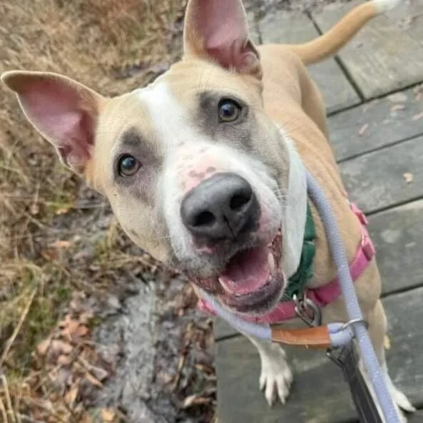 Billie Jean thumbnail 4