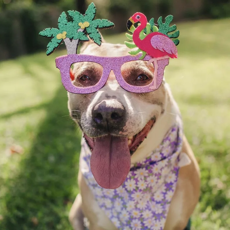 Billie Jean thumbnail 5