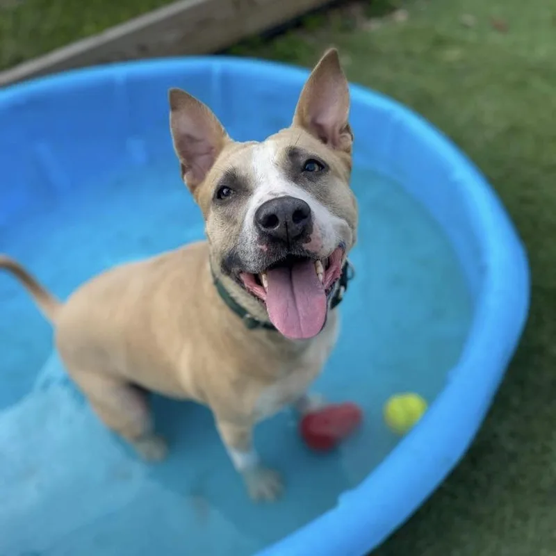 Billie Jean thumbnail 6