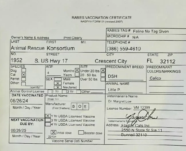 Penelope Also Known As thumbnail 2