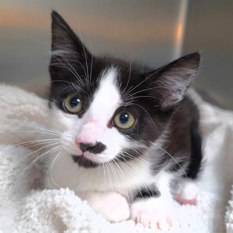Doug thumbnail 5