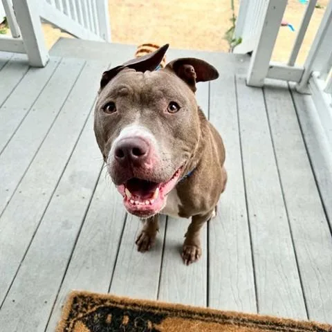 Xena