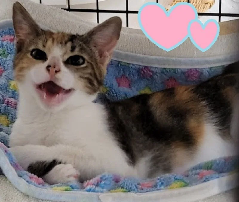 June Bug. thumbnail 5