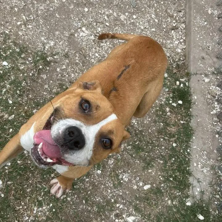 Lucky Charm thumbnail 3