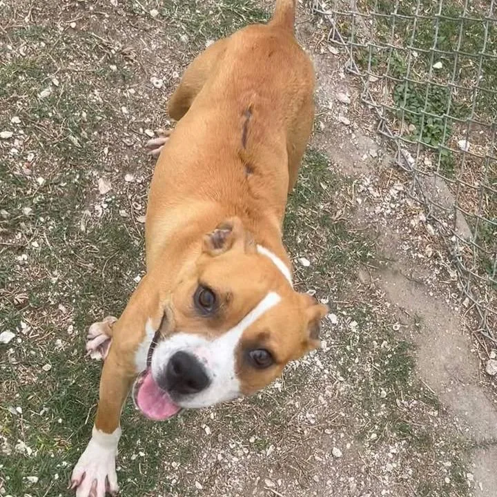 Lucky Charm thumbnail 4