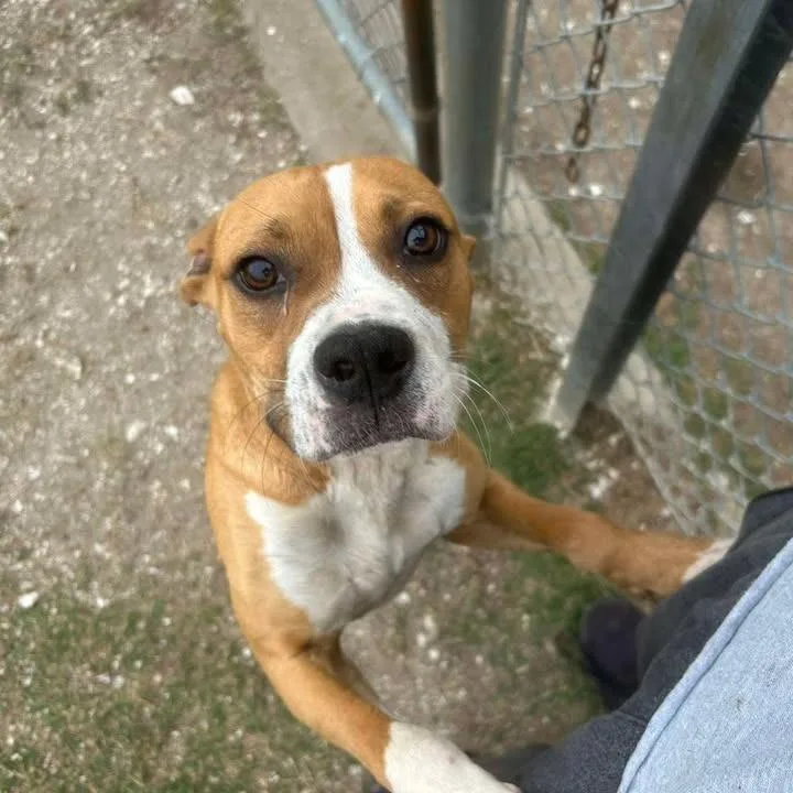 Lucky Charm thumbnail 5