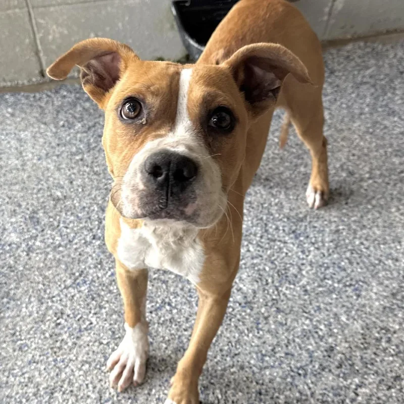 Lucky Charm thumbnail 6