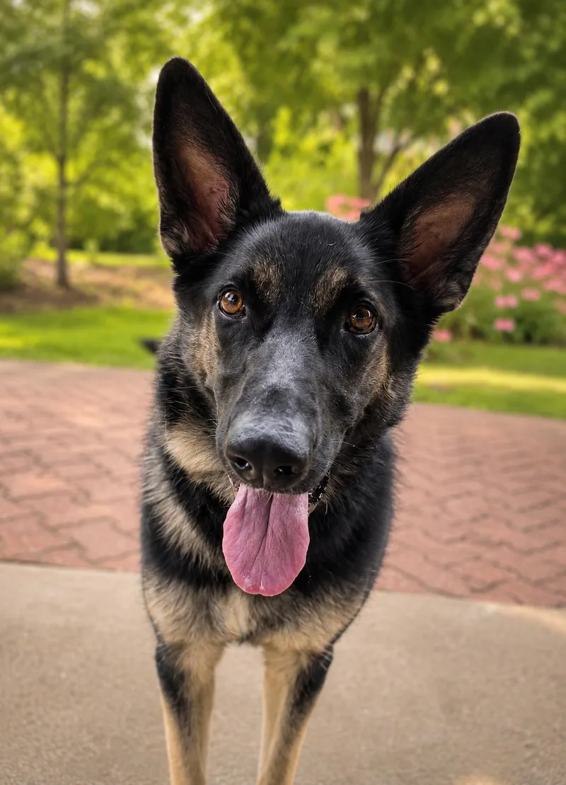 Greta