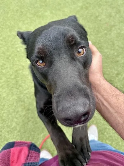 Stick Man Jones thumbnail 2