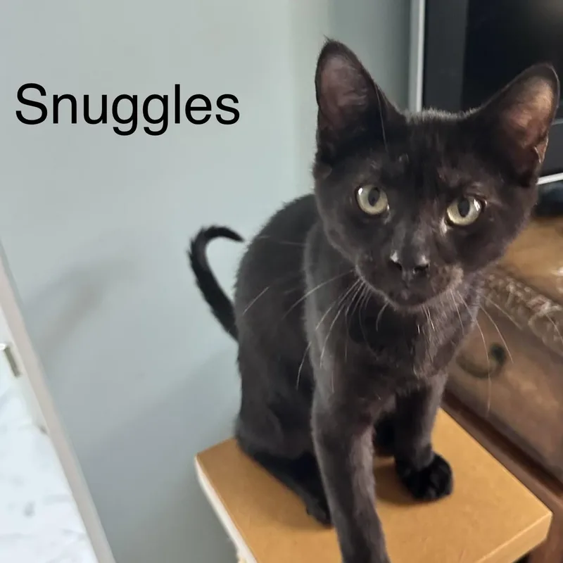 Snuggles aka Snuggy