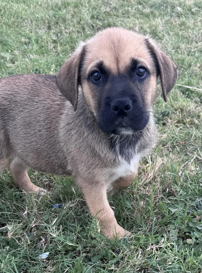 Max thumbnail 2
