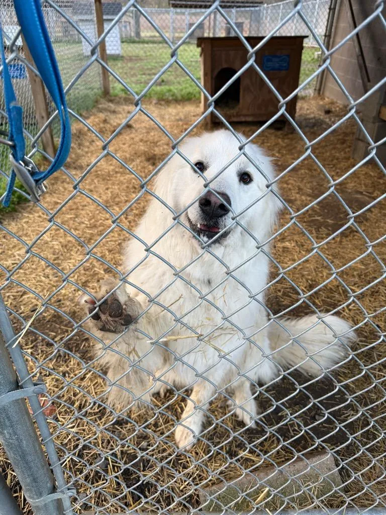 Dixiefillie thumbnail 2