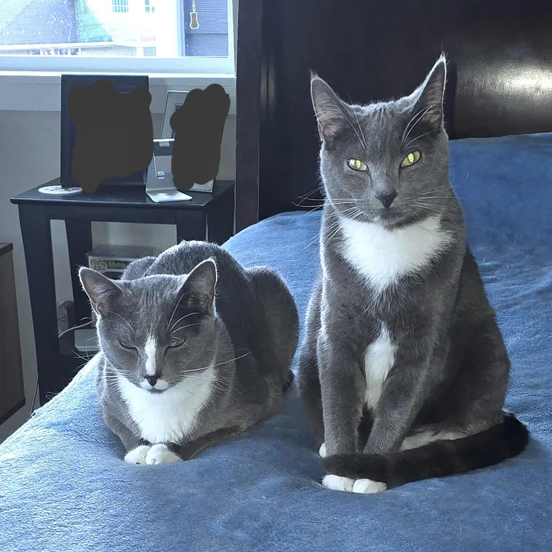 Armin & Erin Bonded thumbnail 4