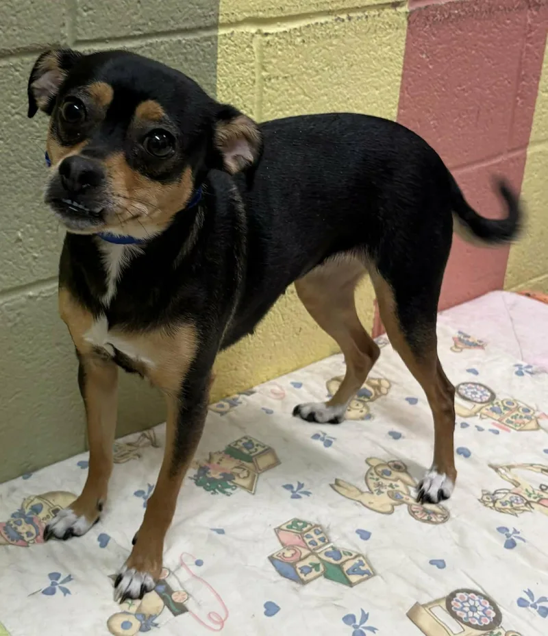 Paradise thumbnail 2