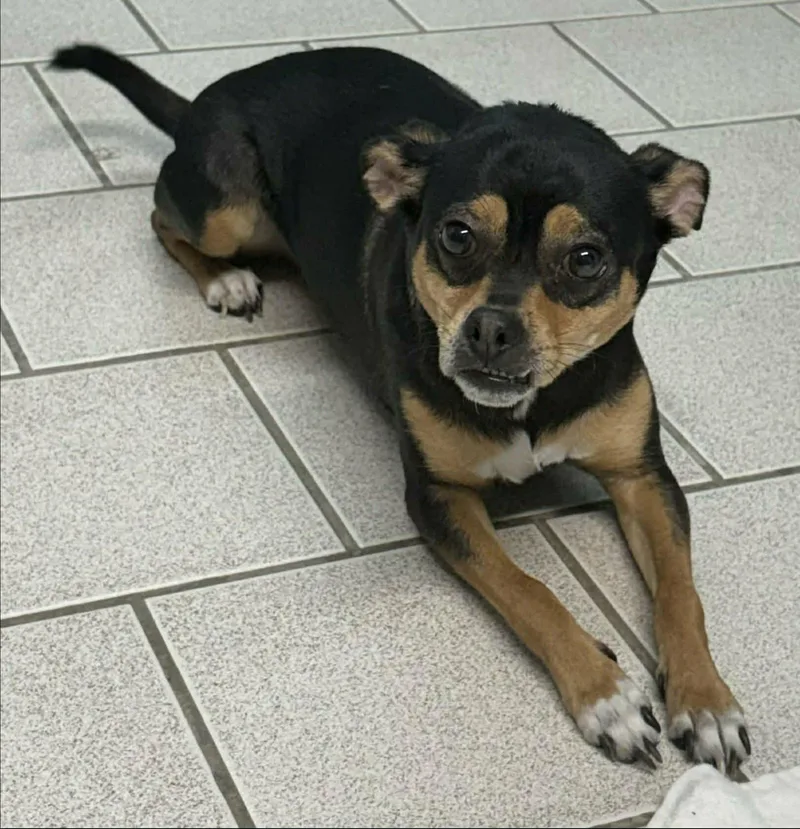 Paradise thumbnail 3