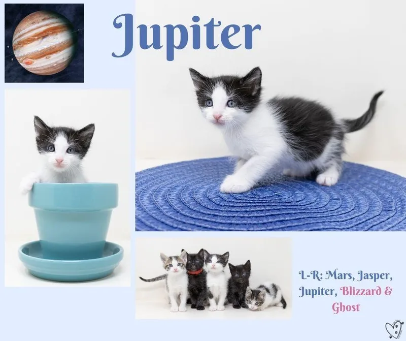 Jupiter thumbnail 3
