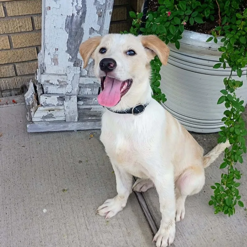 Isabella P thumbnail 2