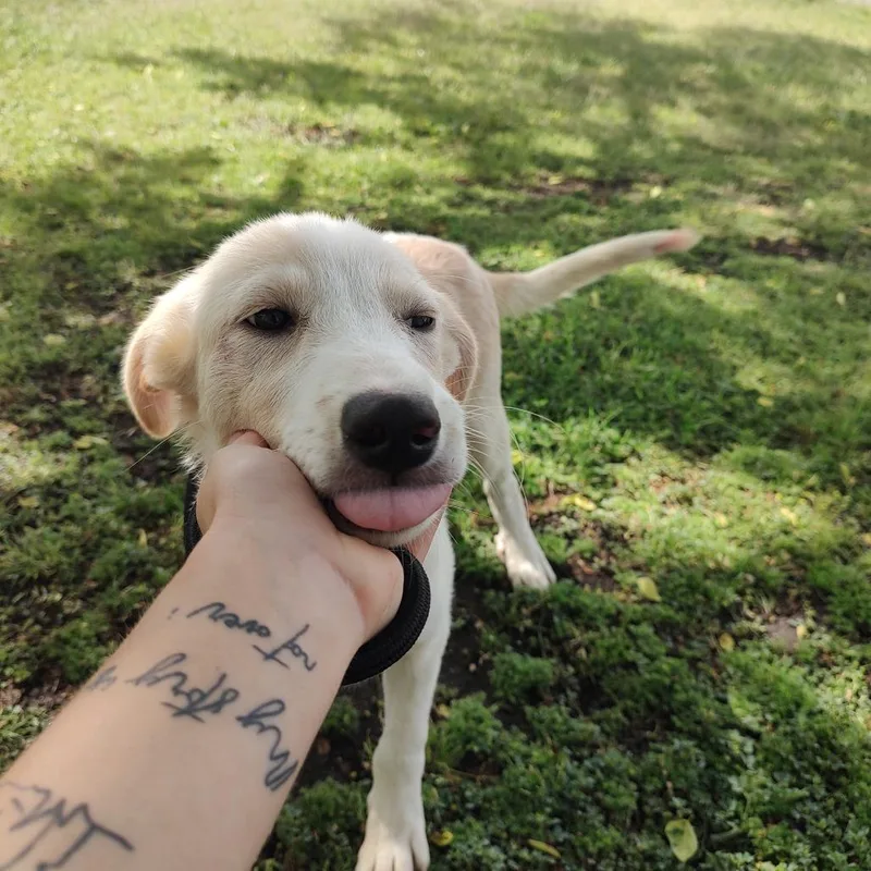 Isabella P thumbnail 4