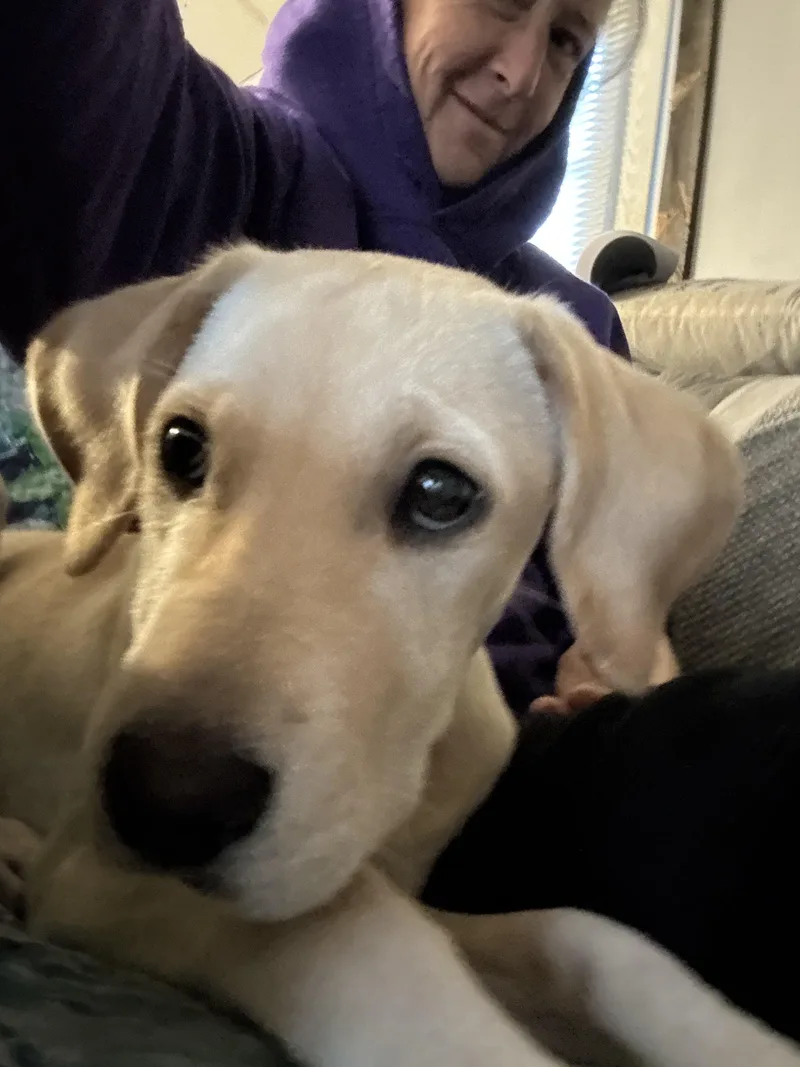 Stella thumbnail 3
