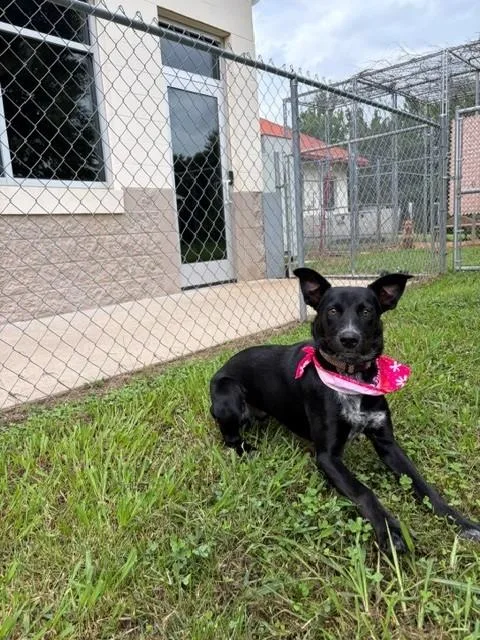 Tilly thumbnail 2
