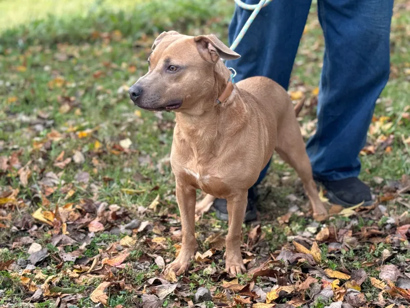 Byron  Transport thumbnail 2