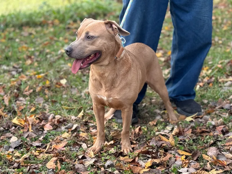 Byron  Transport thumbnail 3