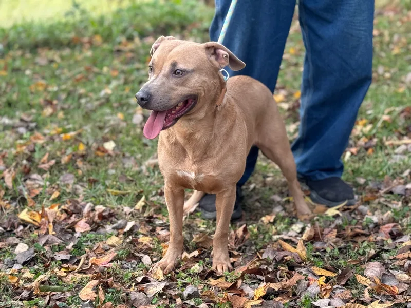 Byron  Transport thumbnail 4