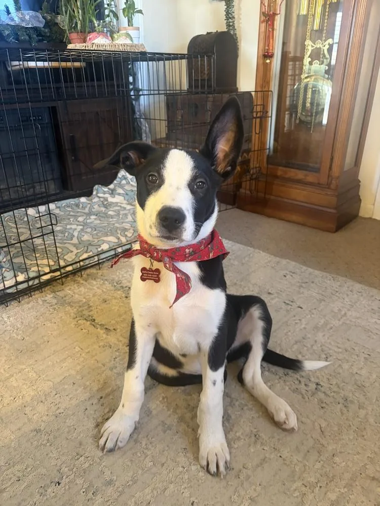 Otis Redding thumbnail 2