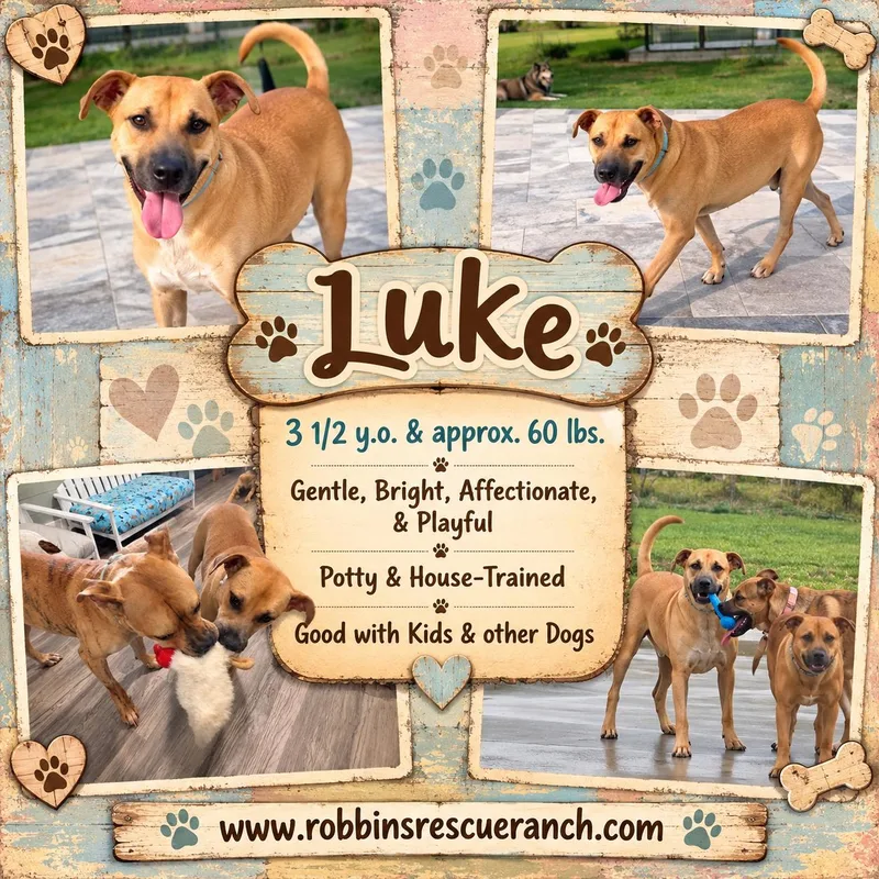 Luke thumbnail 3