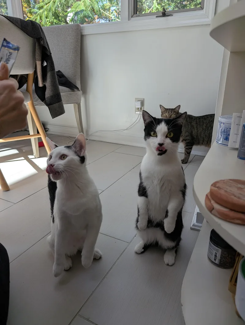 Essieand Enzo thumbnail 2