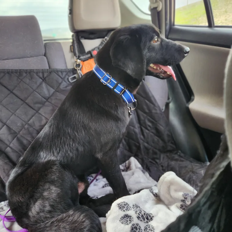 Guinness thumbnail 4