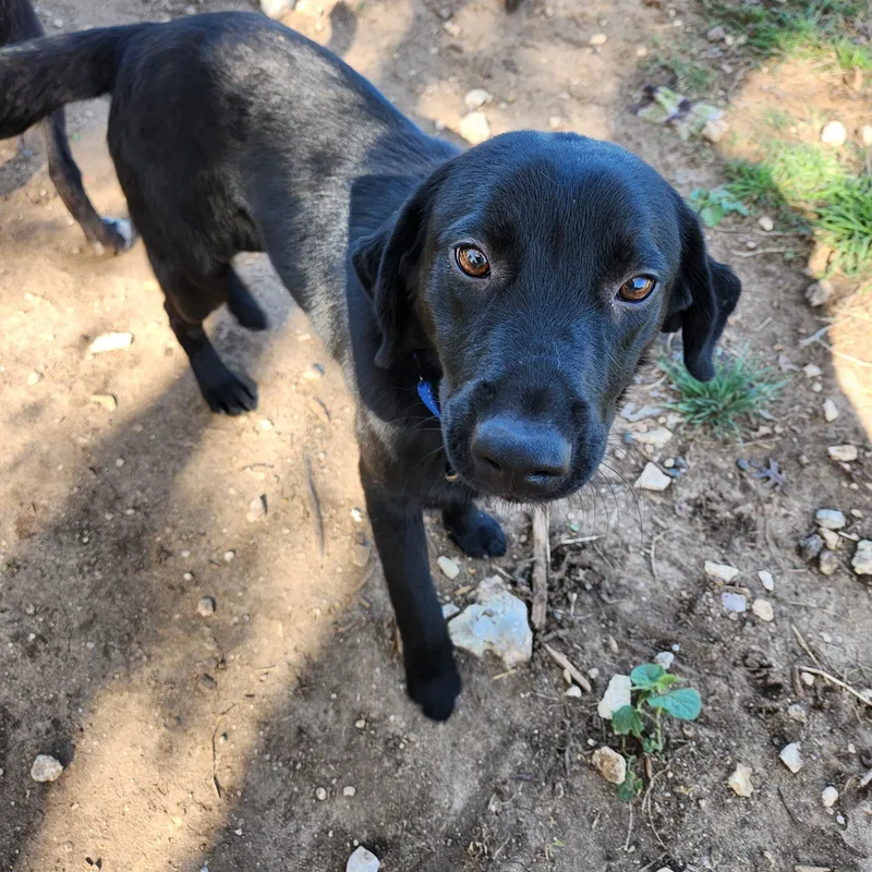 Guinness thumbnail 5