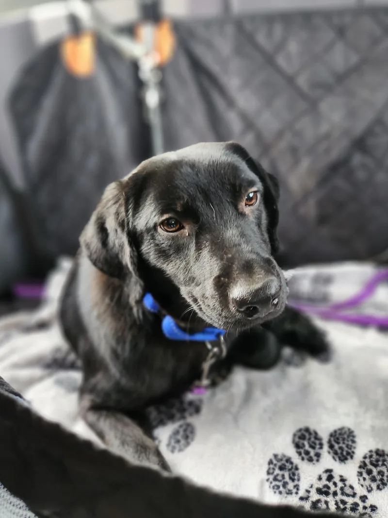 Guinness thumbnail 6