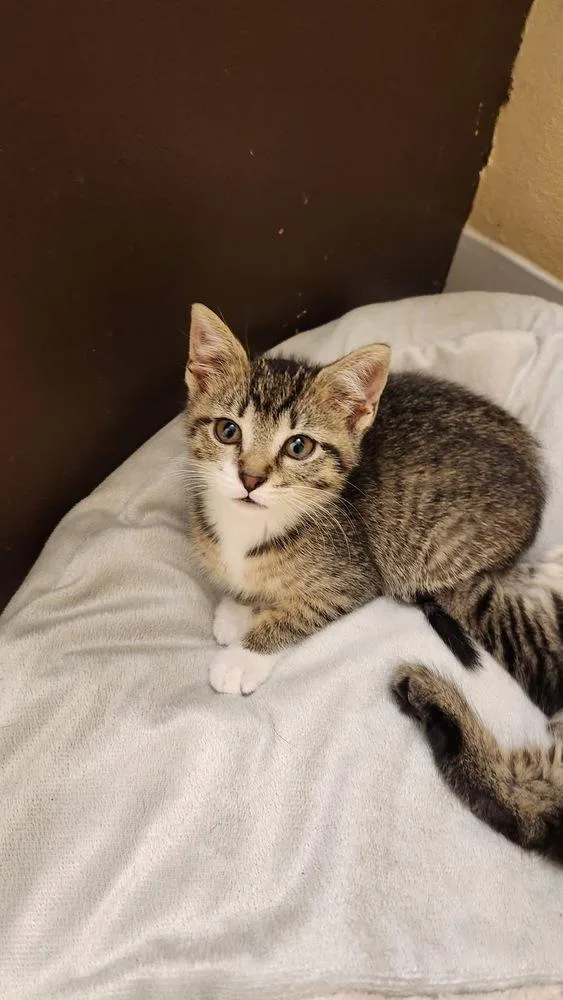 Louise Santiago thumbnail 2