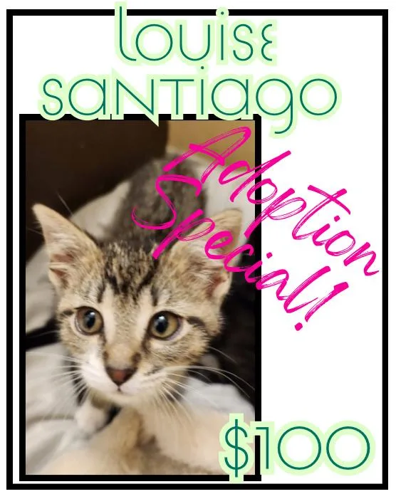 Louise Santiago thumbnail 3