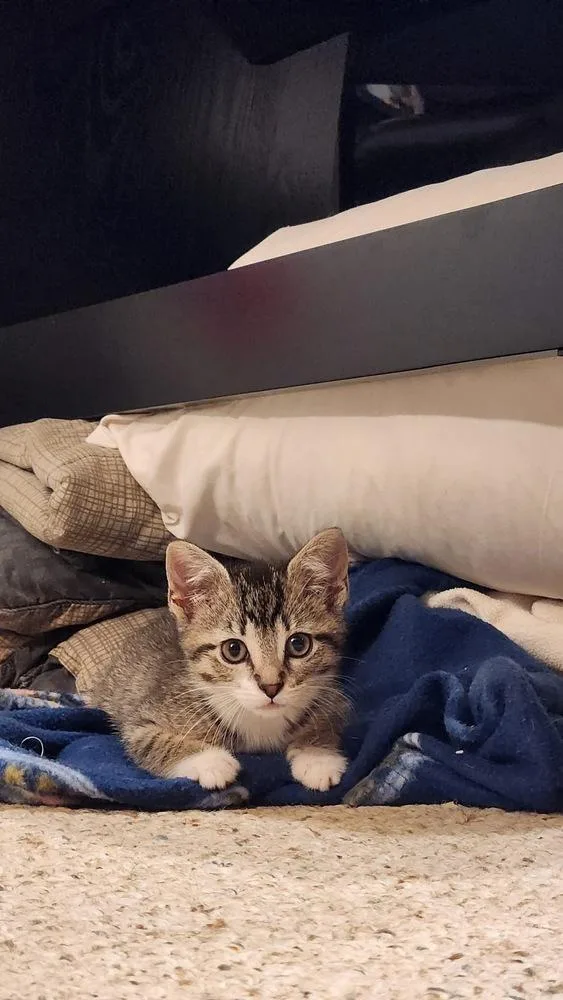 Louise Santiago thumbnail 4