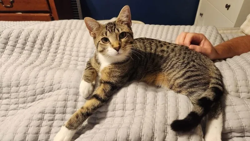 Louise Santiago thumbnail 5