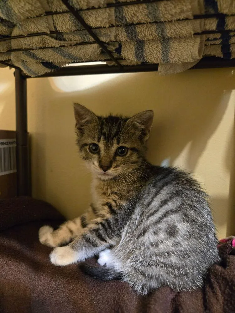 Louise Santiago thumbnail 6