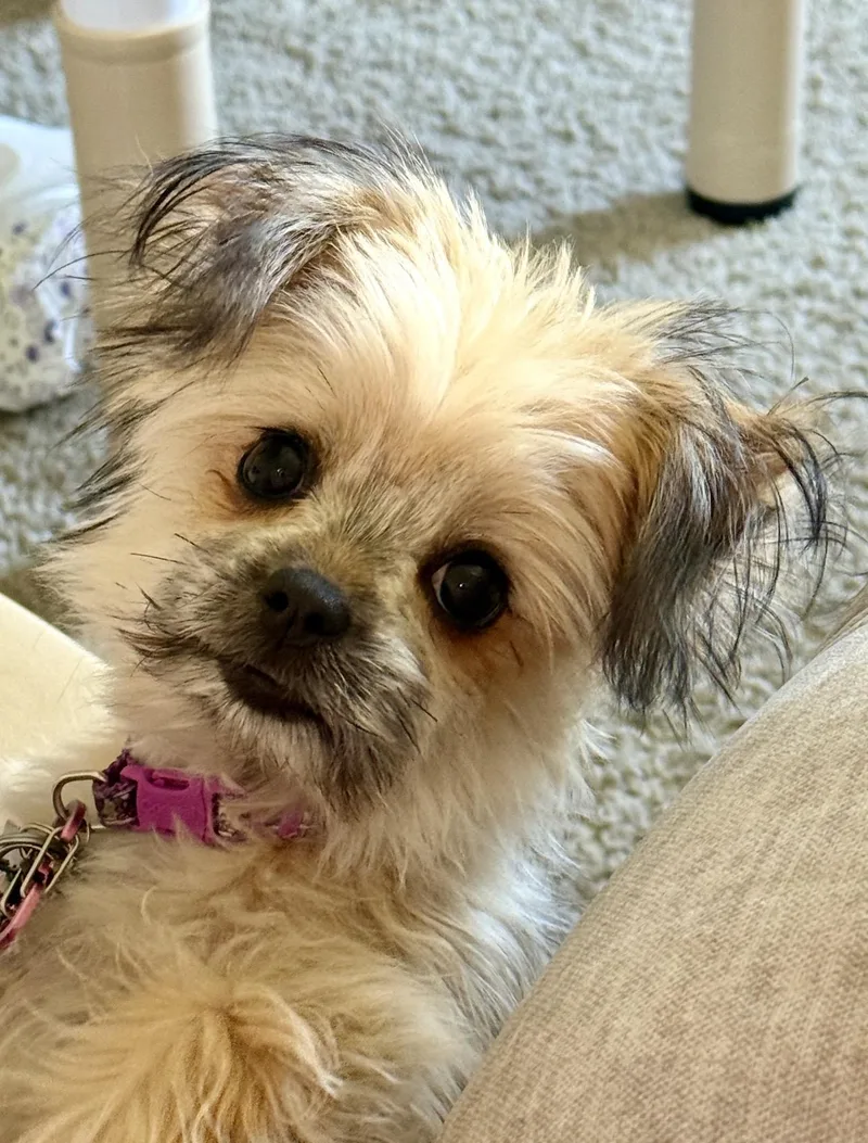 No One Cuter thumbnail 4