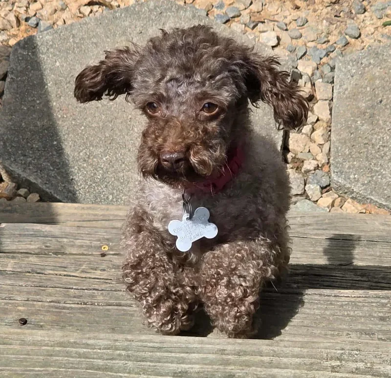 Mimi Aka Millie thumbnail 3