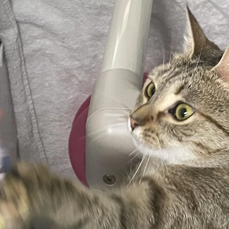 Leia thumbnail 4