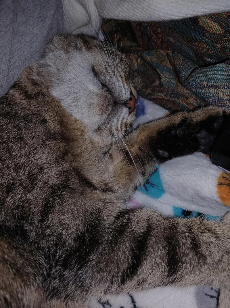 Mama Alley thumbnail 2