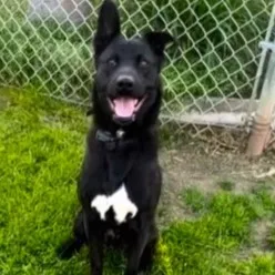 Hopscotch Happy  Single thumbnail 2