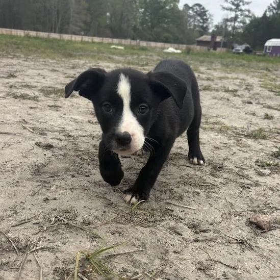 Miley Cyrus thumbnail 2