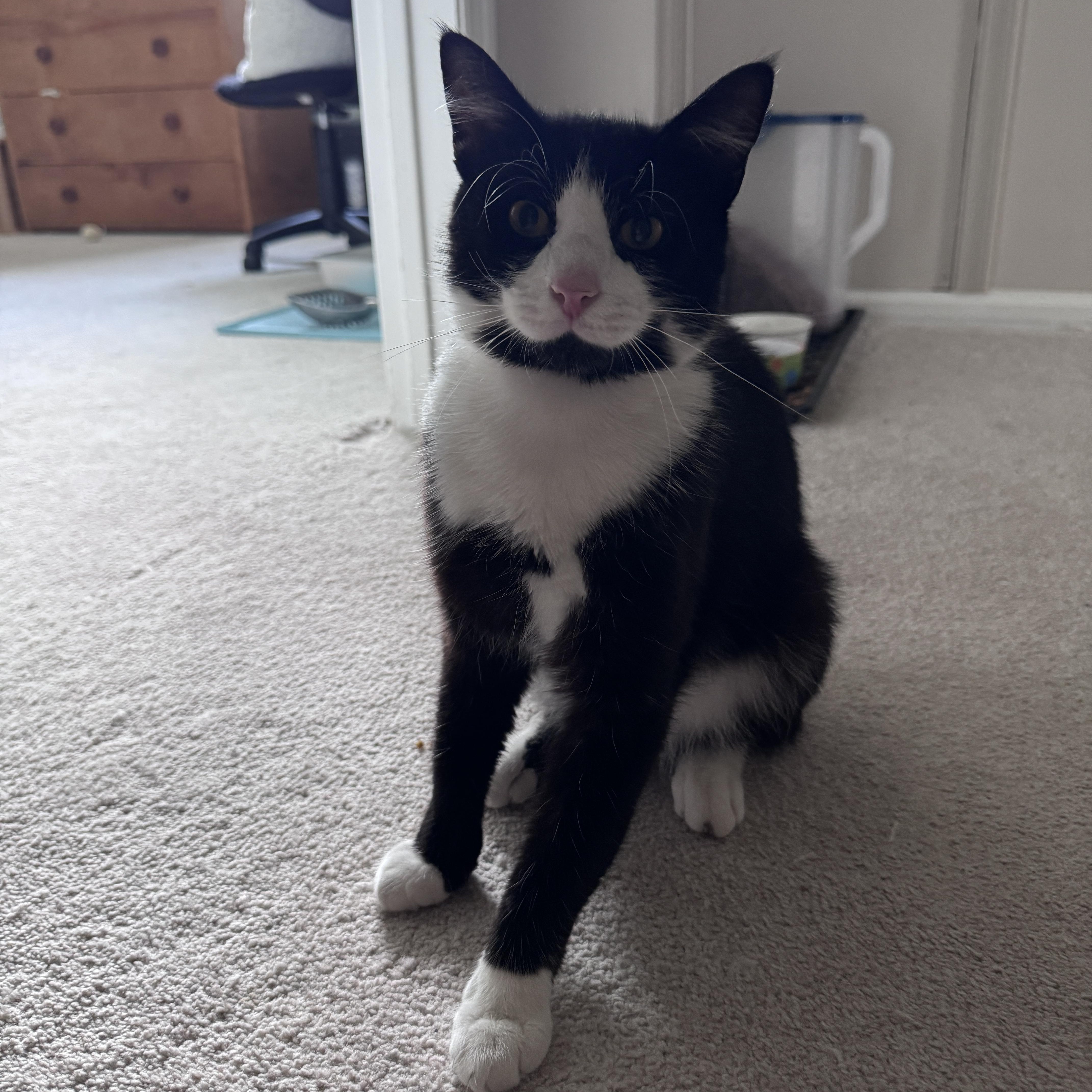 Tux thumbnail 3