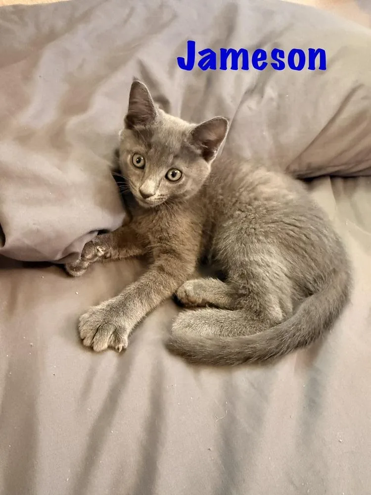 Jameson