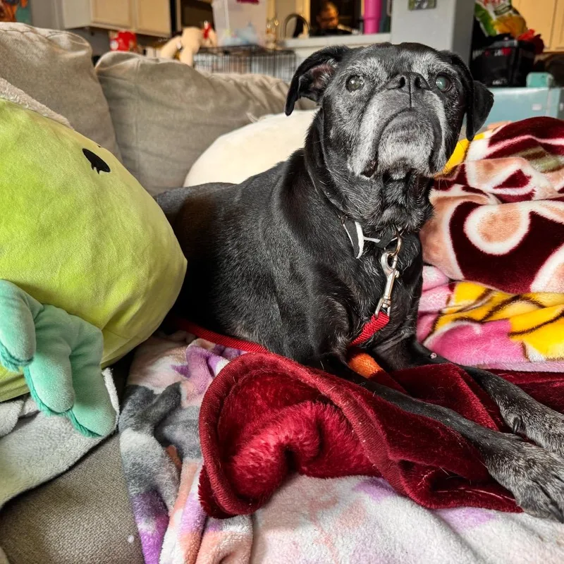 Ruth Bader Ginsburg thumbnail 2