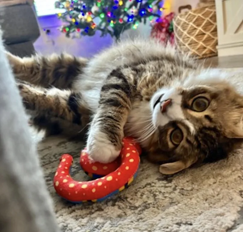 Kiki