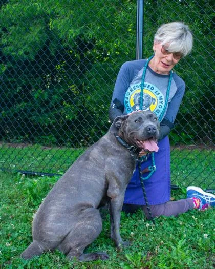 An adult extra large-sized female Mixed Breed dog named Jolesha for adoption in Chamblee, GA