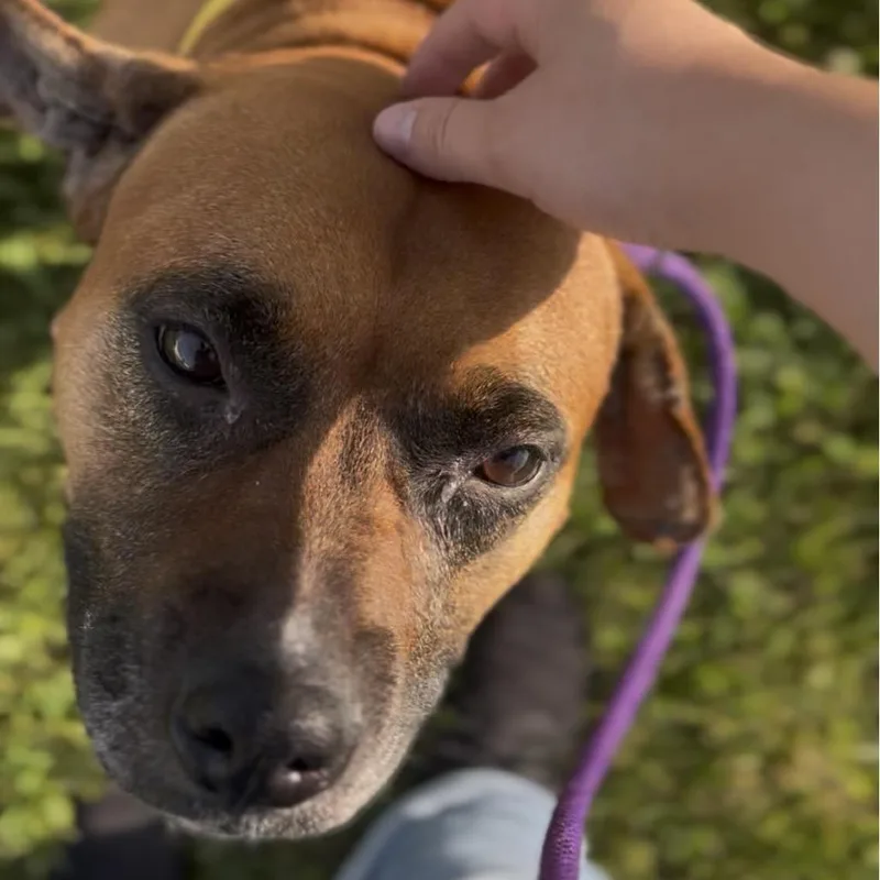 Betty thumbnail 4